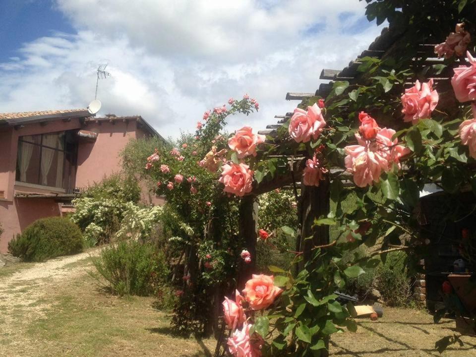 La Chiesuola Bed & Breakfast Bagnaia  Luaran gambar