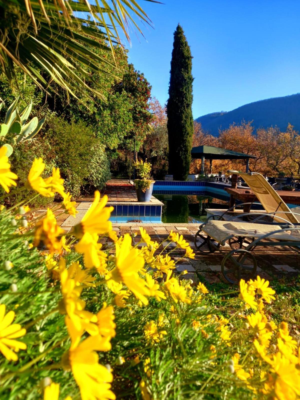 La Chiesuola Bed & Breakfast Bagnaia  Luaran gambar