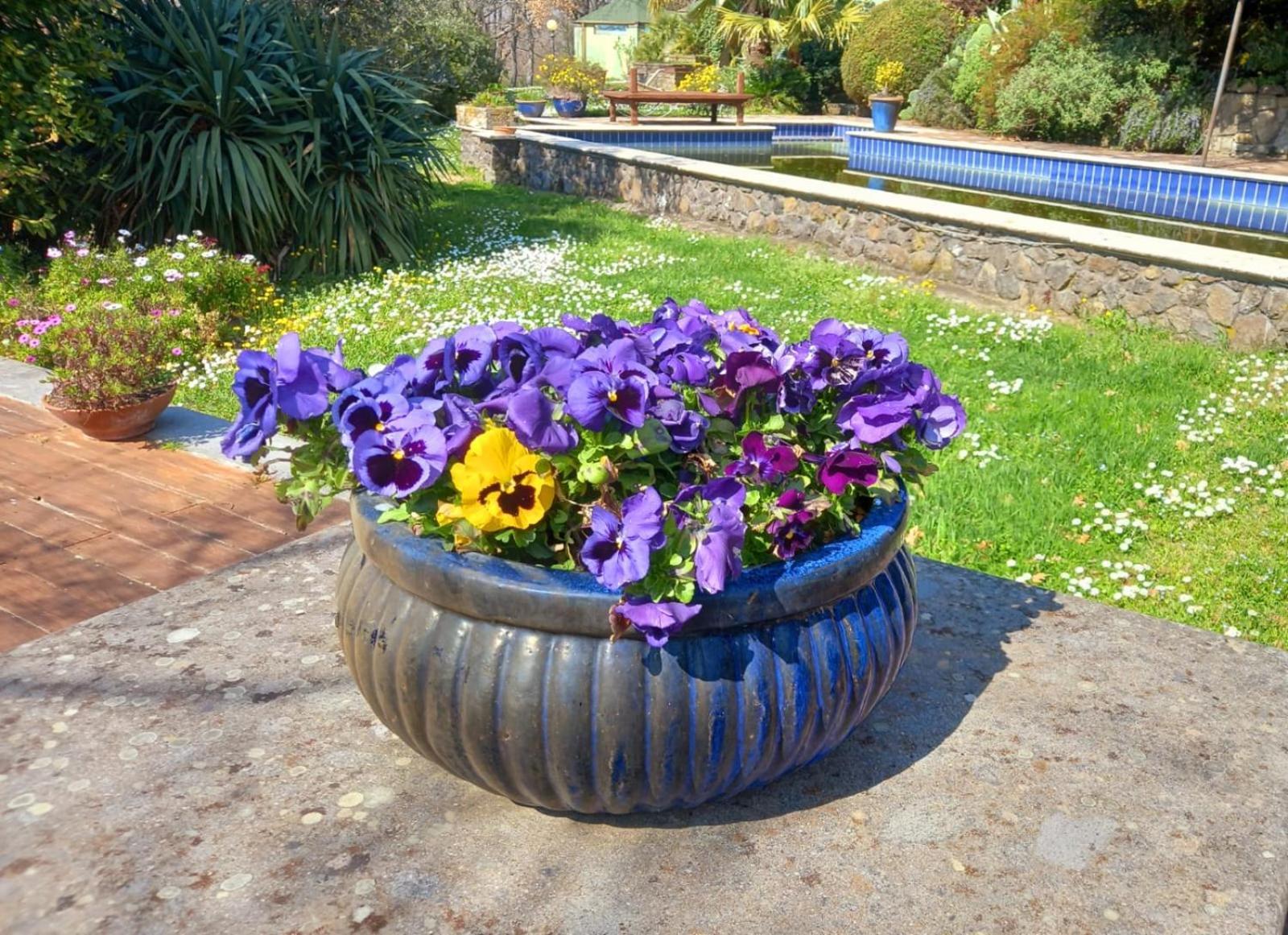 La Chiesuola Bed & Breakfast Bagnaia  Luaran gambar