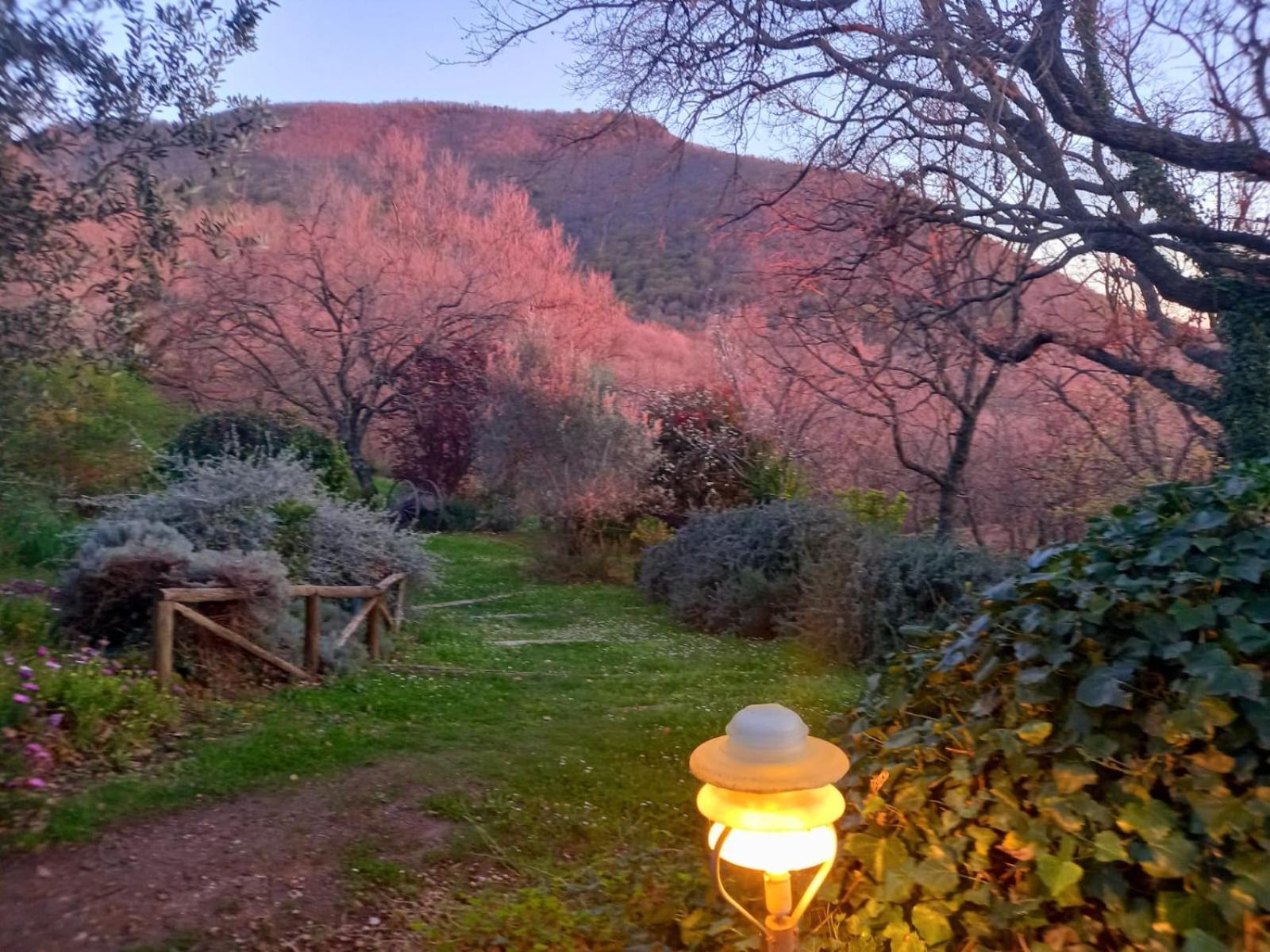 La Chiesuola Bed & Breakfast Bagnaia  Luaran gambar