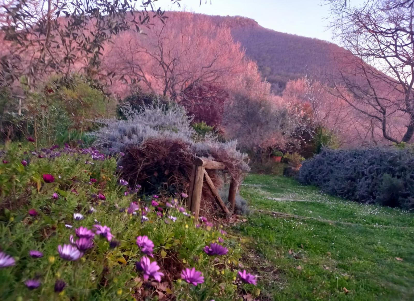 La Chiesuola Bed & Breakfast Bagnaia  Luaran gambar
